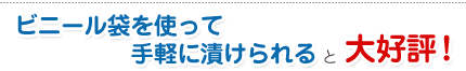 �ӥˡ����ޤ�ȤäƼ�ڤ��Ҥ�������繥ɾ��