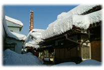 冬