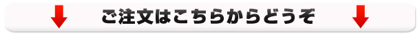 ����ʸ�Ϥ����餫��